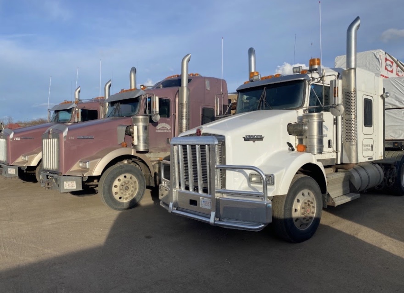 J & M Randhawa Trucking fleet lineup of Kenworth flatbed tractors